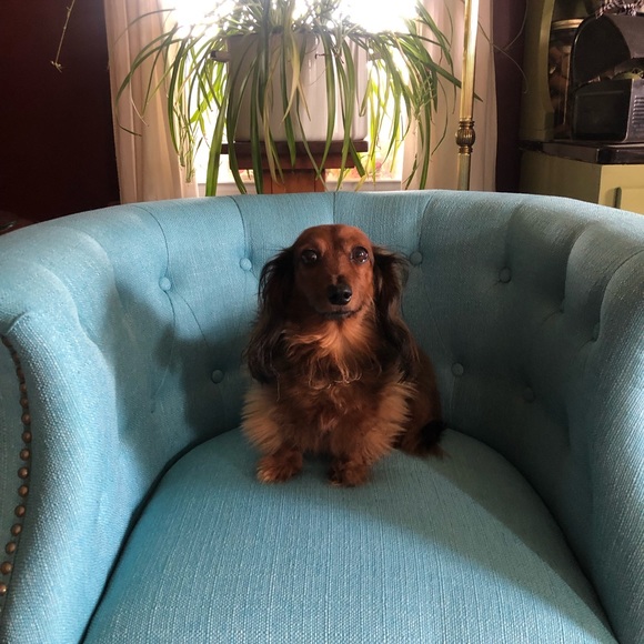 Meet your Posher, Julie - Picture 13 of 14